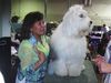 /images/events/10/2008 Raleigh Dog Show 002-thumb.jpg